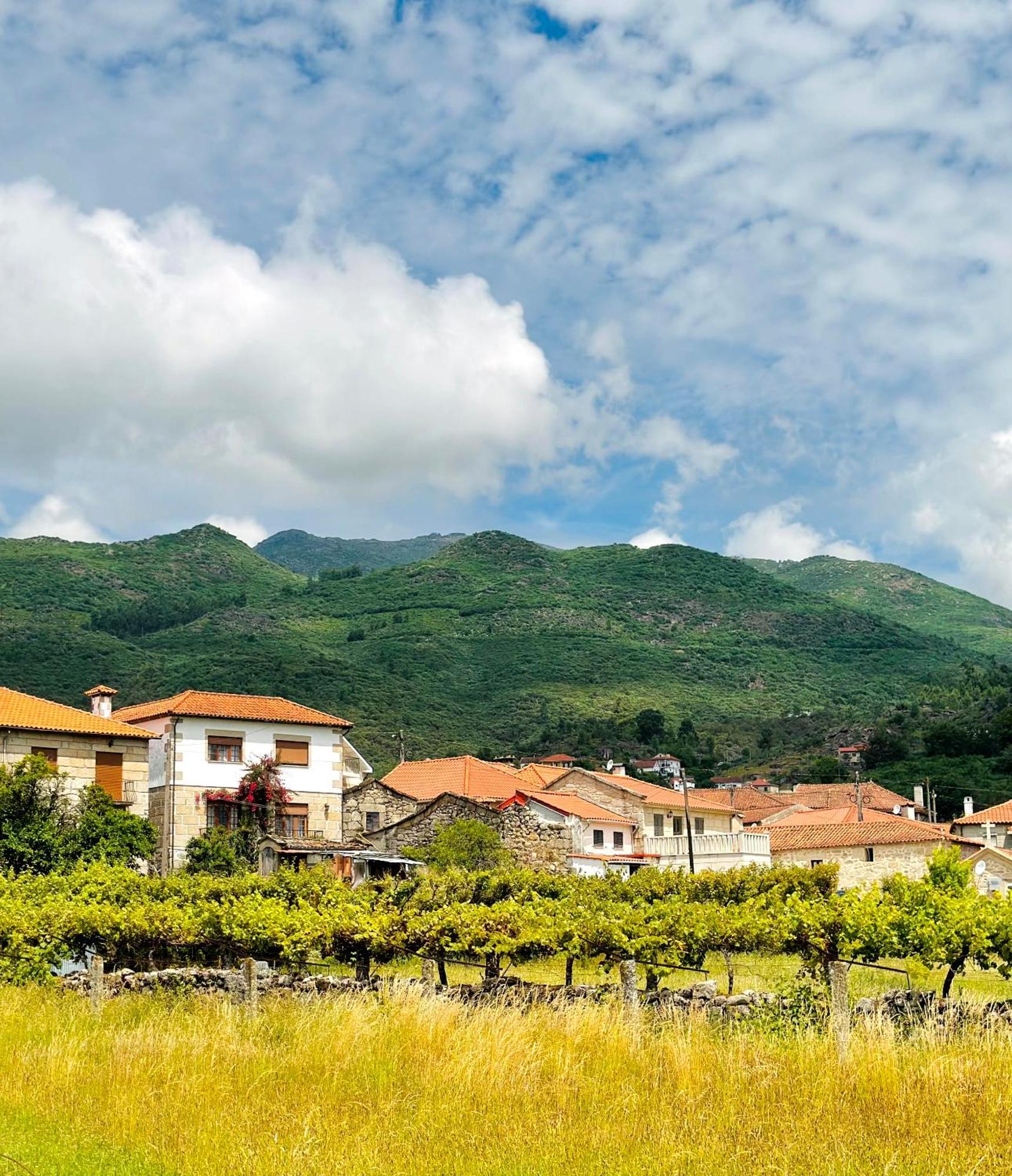 Casa Da Touca Villa Arcos de Valdevez Exteriör bild
